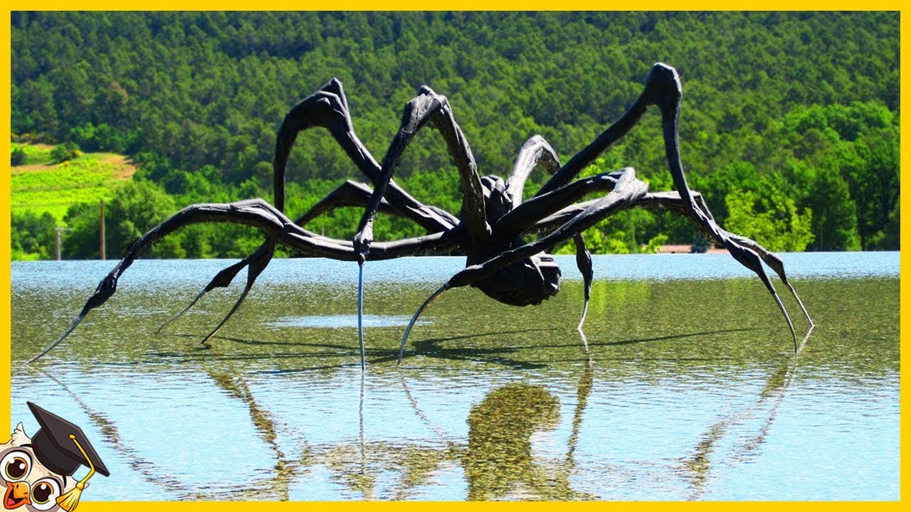 10 Cosas más Aterradoras Encontradas en Papúa Nueva Guinea