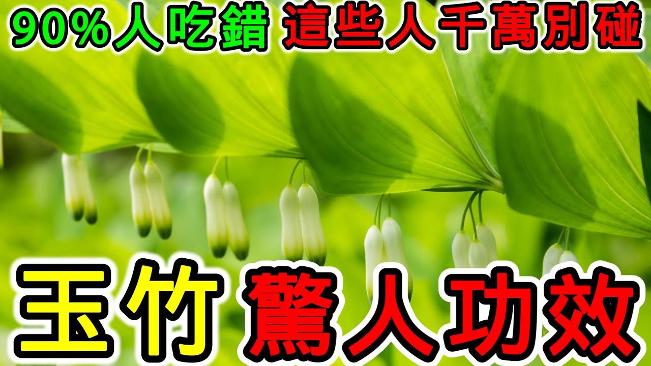 玉竹的功效，玉竹的副作用，玉竹不能和什麼一起吃？哪些人不能用玉竹？
