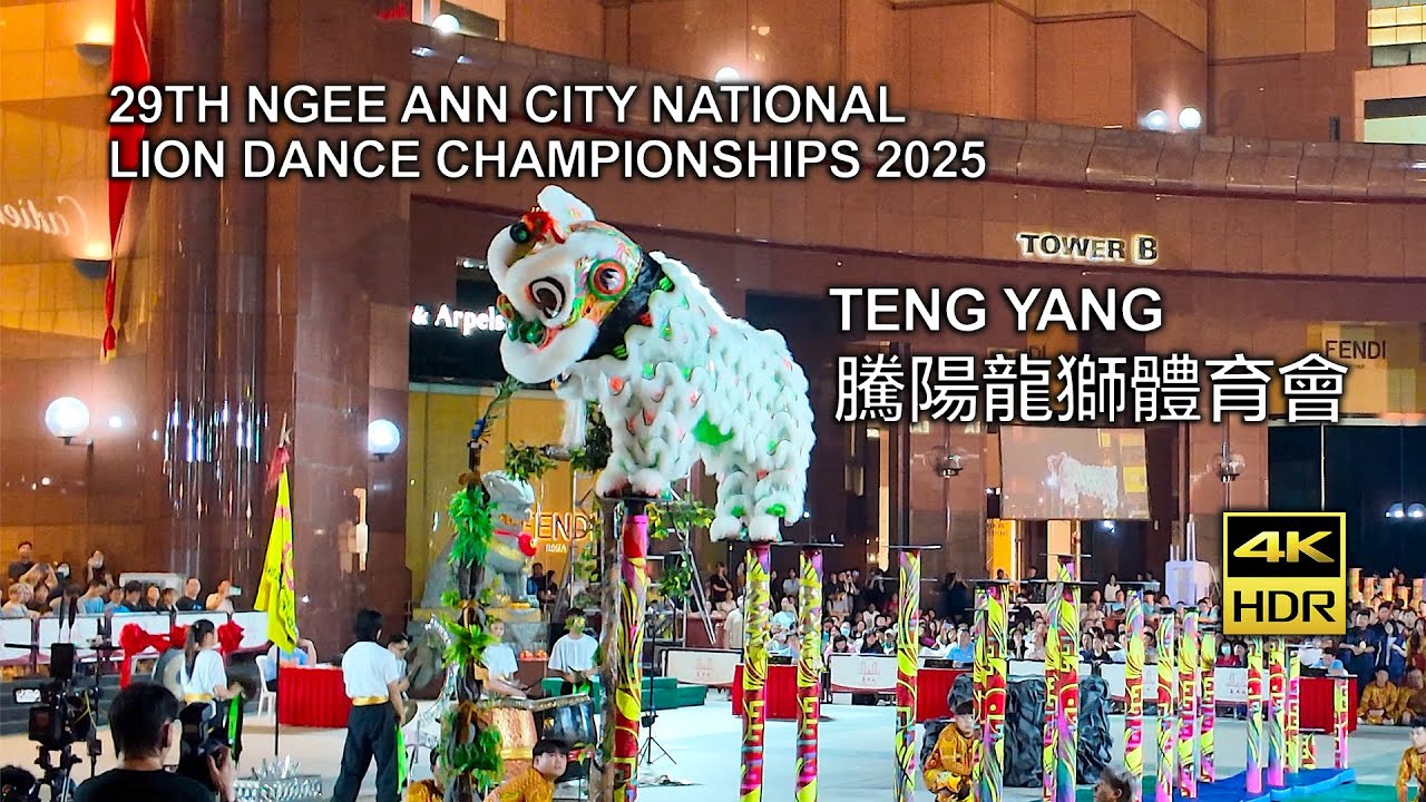 Teng Yang 騰陽龍獅體育會 (semi finals) - 29th Ngee Ann City Lion Dance Competition 2025 (Freestyle)