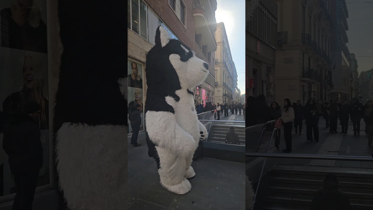 Photo with teddy for free 