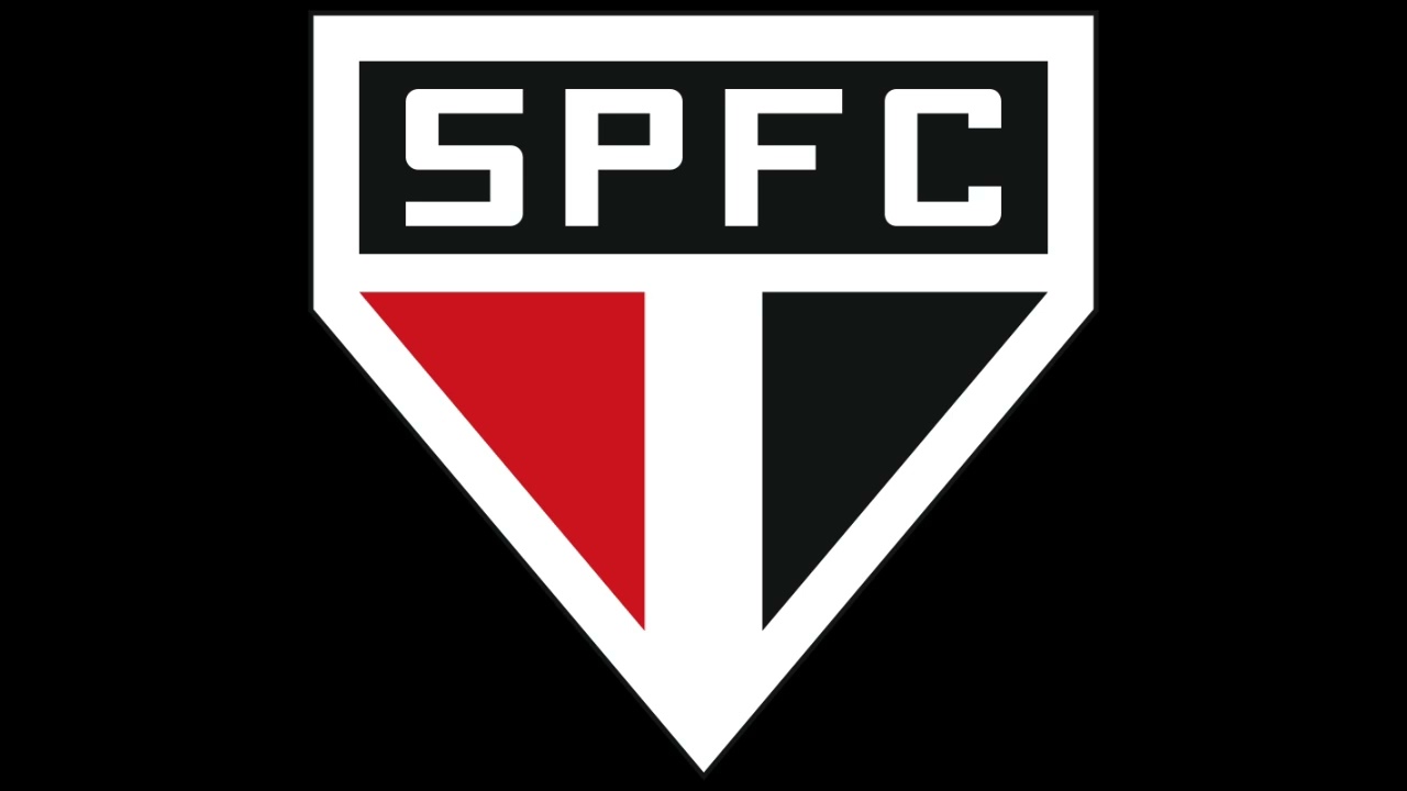 TRICOLOR O CAMPEÃO [1993]