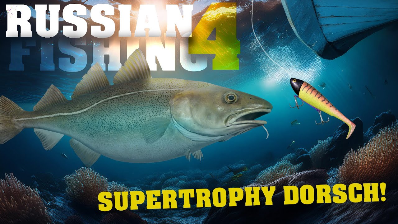 SUPERTROPHY DORSCH am Nordmeer?! | Russian Fishing 4!