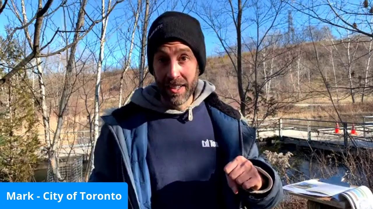 City of Toronto | Nature in the City: Winter Tree ID Walk at the Don Valley Brickworks Park