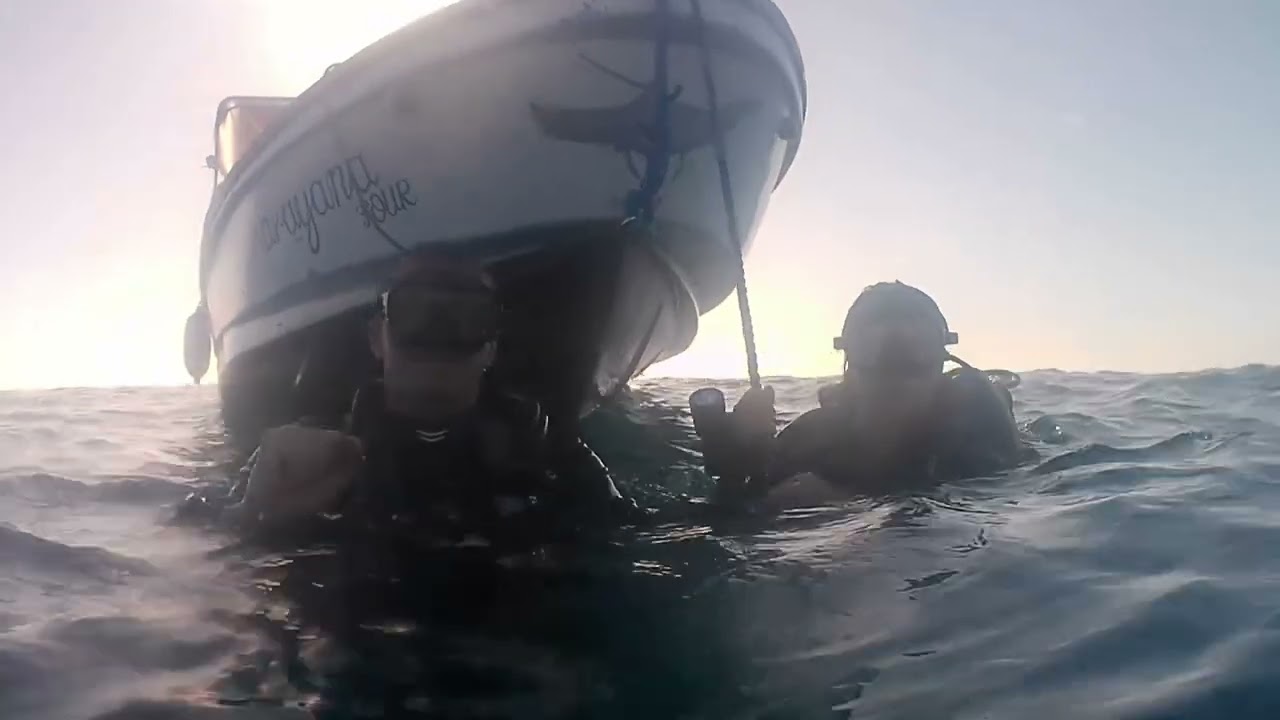 Diving Tubbataha Philippines 2025 Ben Linders