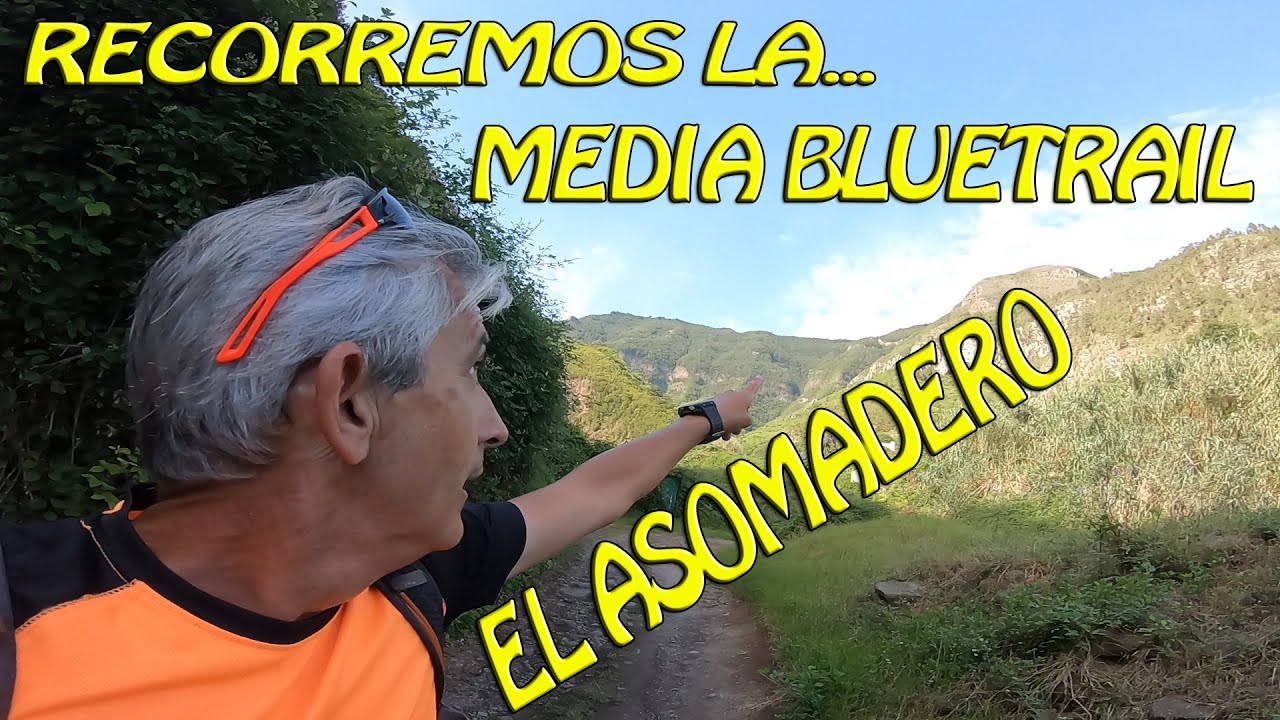 MEDIA BLUE TRAIL