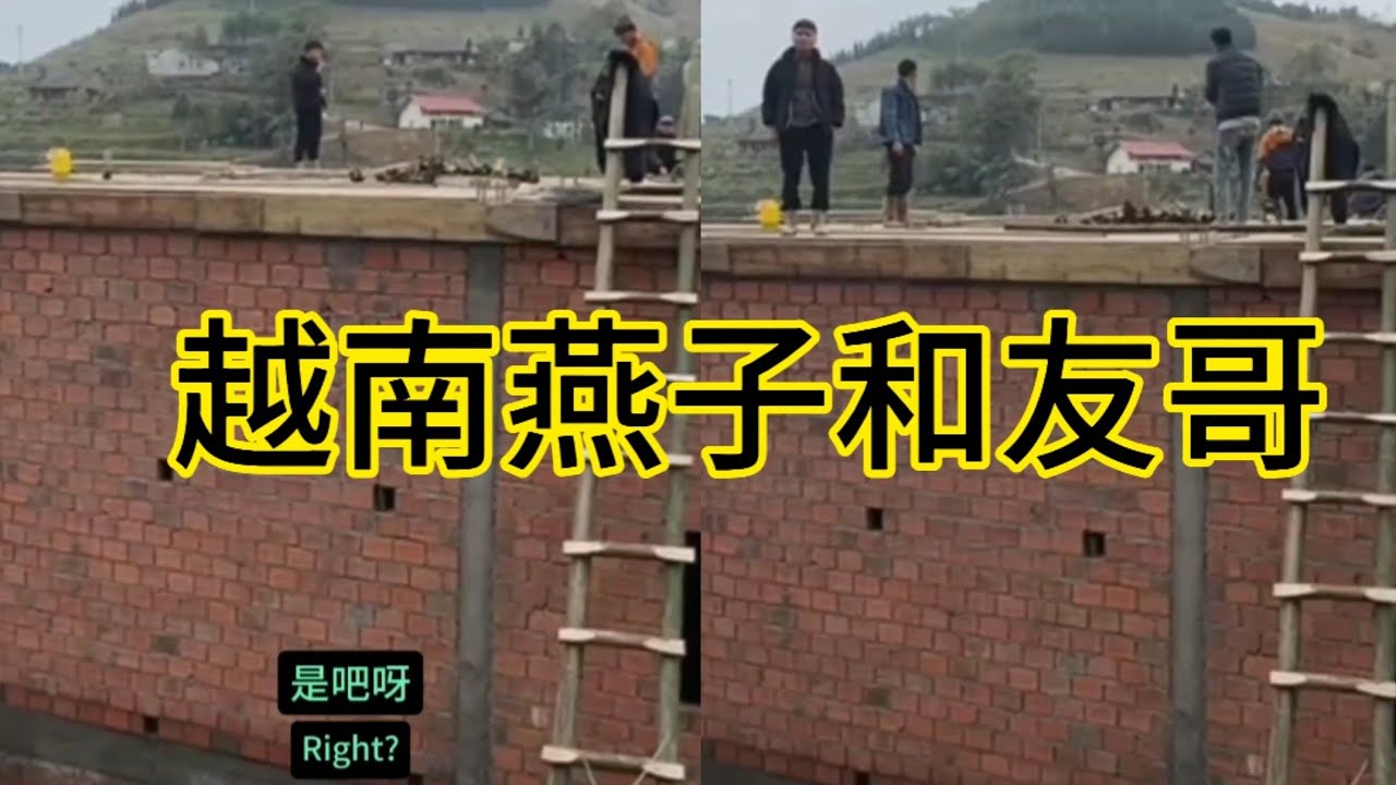 越南燕子和友哥