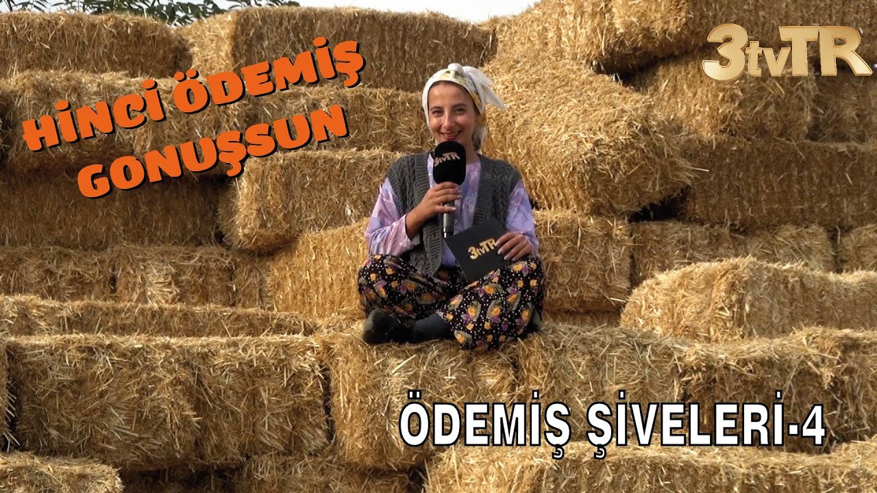 HİNCİ ÖDEMİŞ GONUŞSUN (ÖDEMİŞ ŞİVELERİ-4)