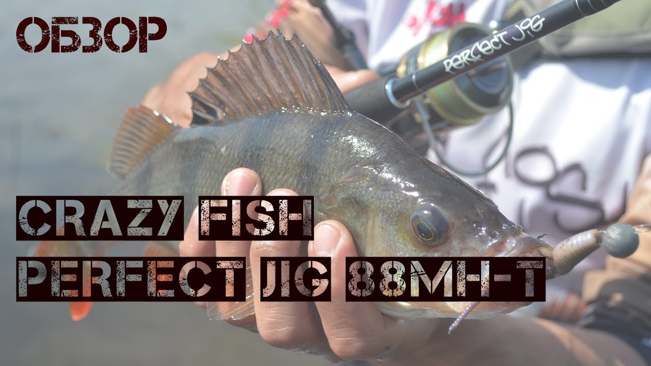 Crazy Fish Perfect Jig 88MH-T. Обзор