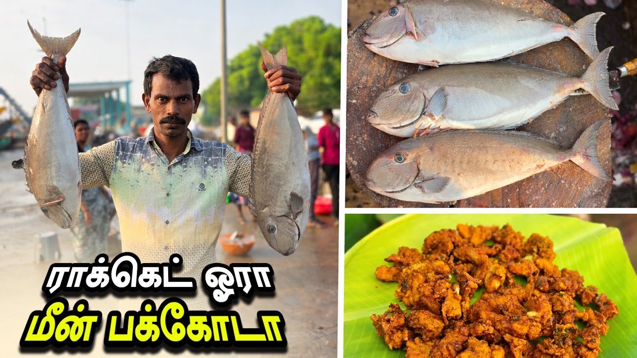 மொறுமொறுப்பான ராக்கெட் 🚀 