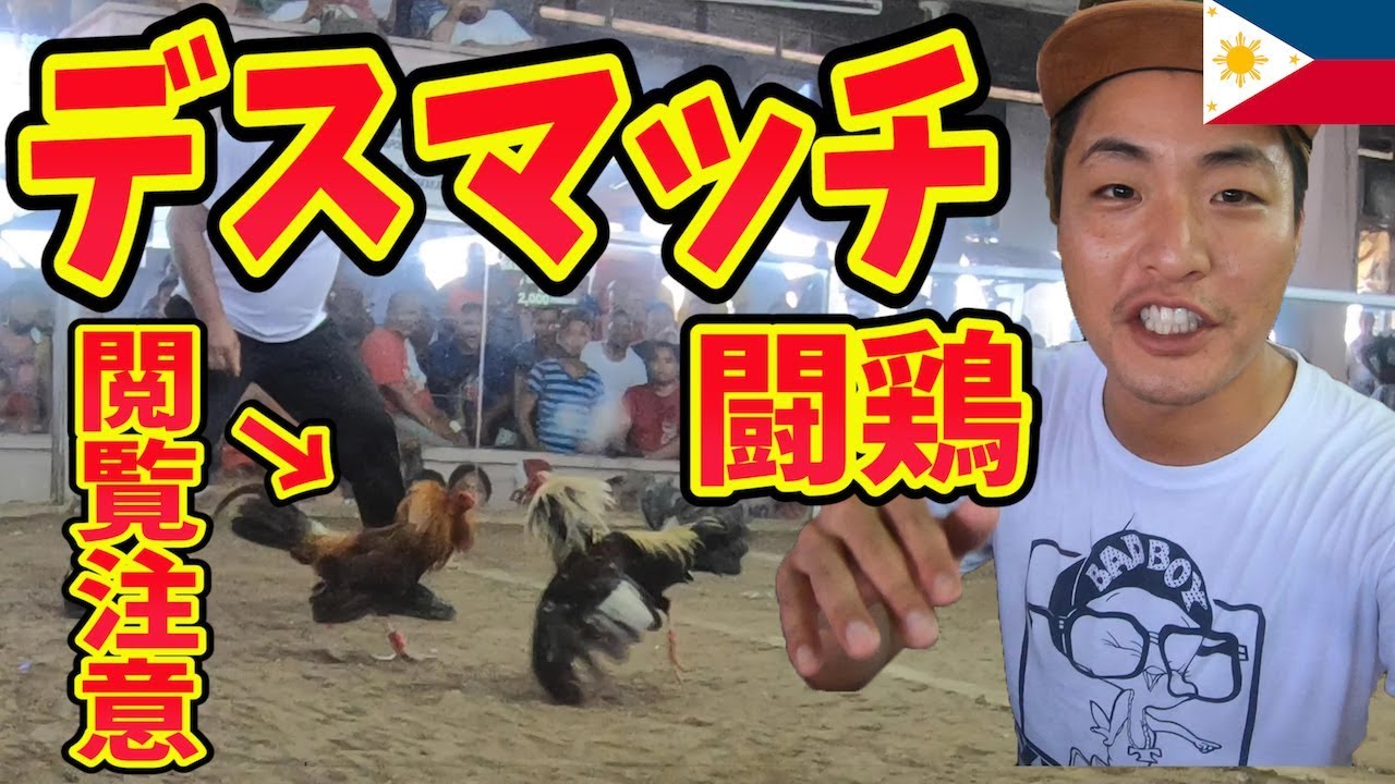 フィリピン国民が熱狂！闘鶏(チキンファイト)があまりにも異常すぎたinマニラ