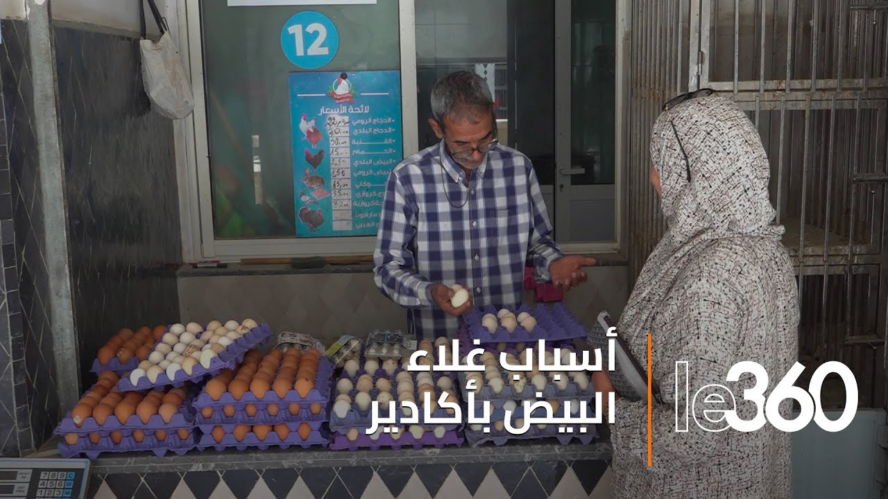 أسعار البيض تحلق بأكادير.. ومهنيون يُعدِّدُون الأسباب