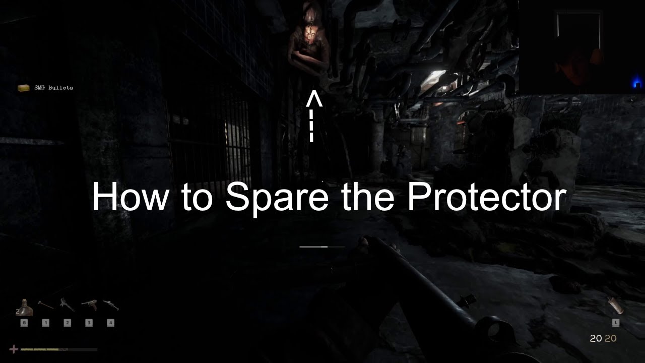 How to spare the Protector in Total Chaos Remake