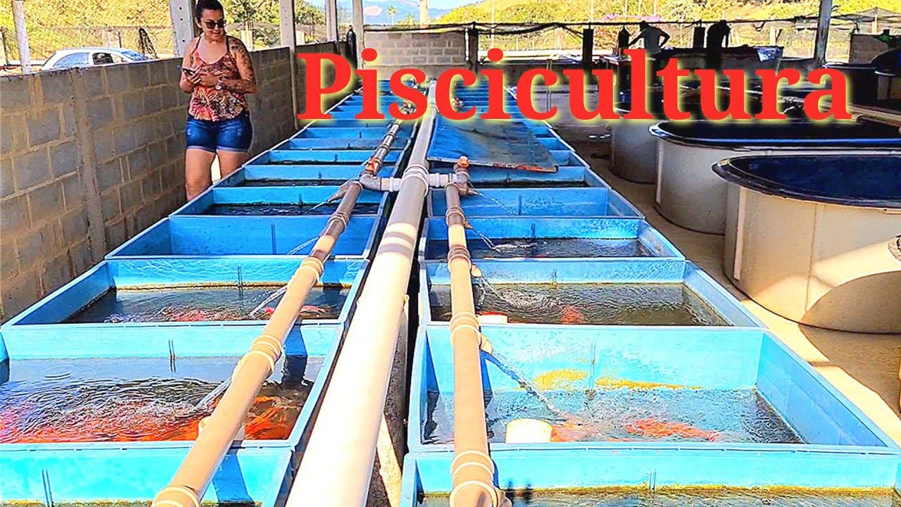 Fui com minha irmã em uma piscicultura