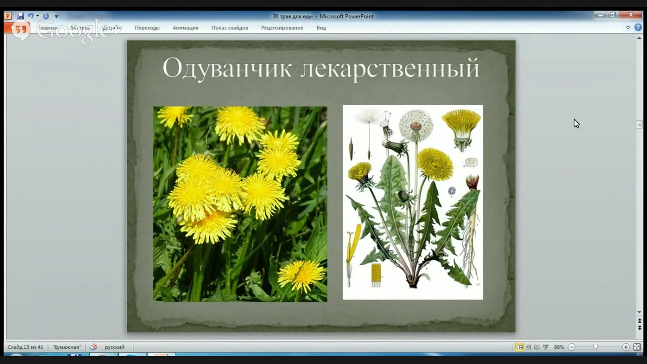 Анатолий Орлов про съедобные травы на семинаре 2014