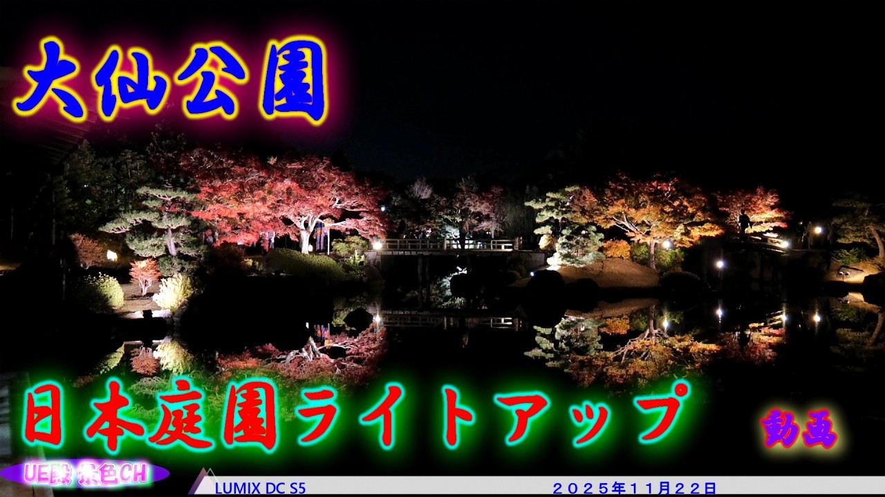 【4K】大仙公園 日本庭園ライトアップ 2025 | 堺の絶景紅葉と光の共演（2025.11.22）
