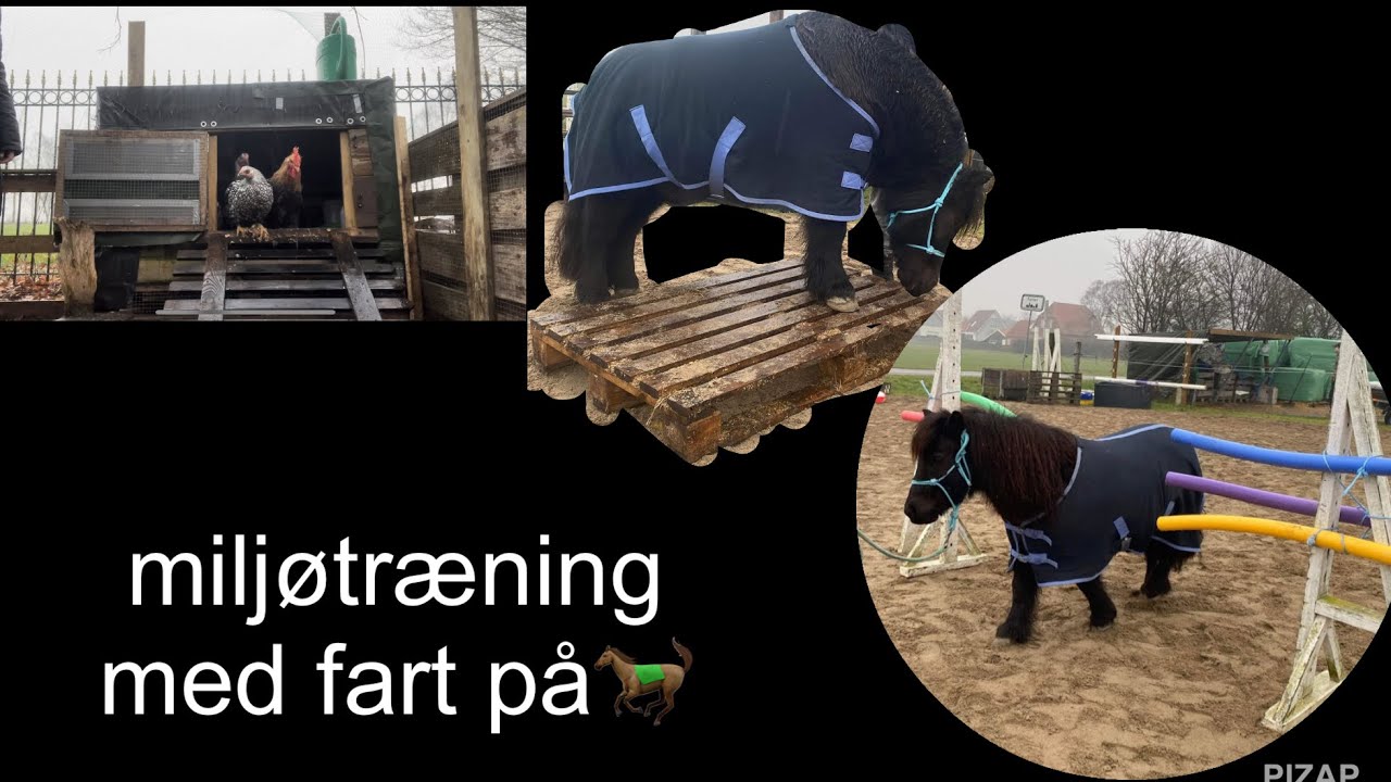 En dag med miljøtræning🌸🫶🏻