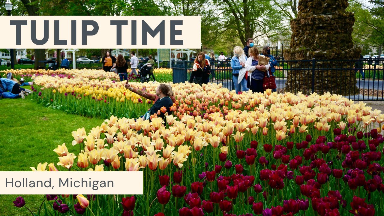How to celebrate Tulip Time in Holland, Michigan