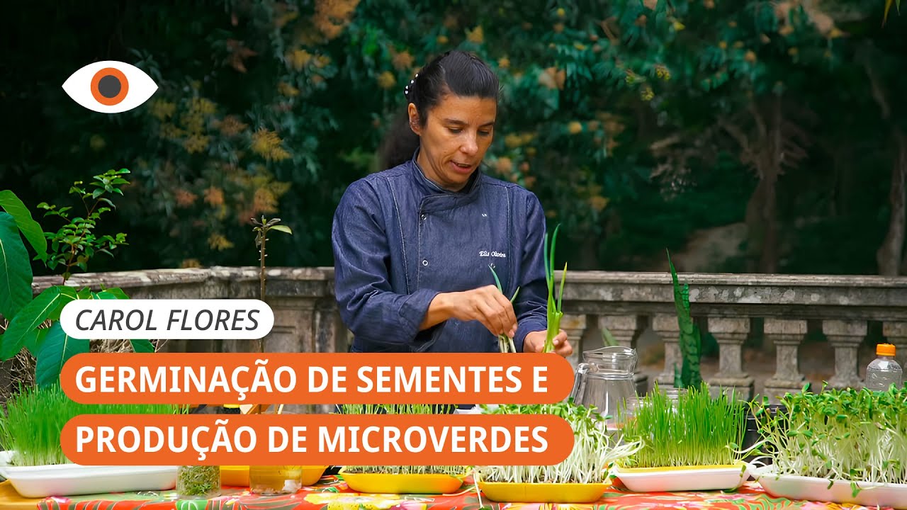 Oficina | Germinação de Sementes e Produção de Microverdes | Elis Oliveira