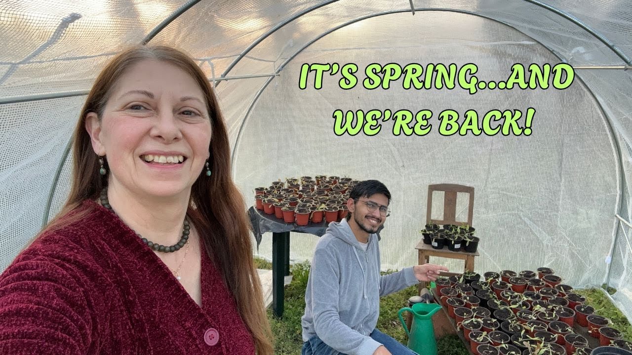 CAREGIVING AND GARDENING - CANTANHEDE IN CENTRAL PORTUGAL SPRINGTIME..