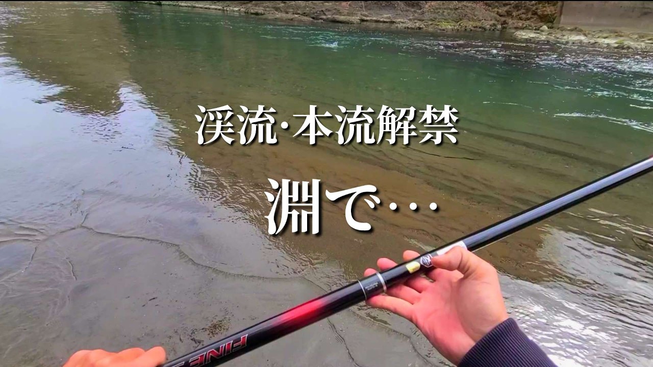 【淵で…】当たりを出したその魚は！【本流釣り】【エサ釣り】