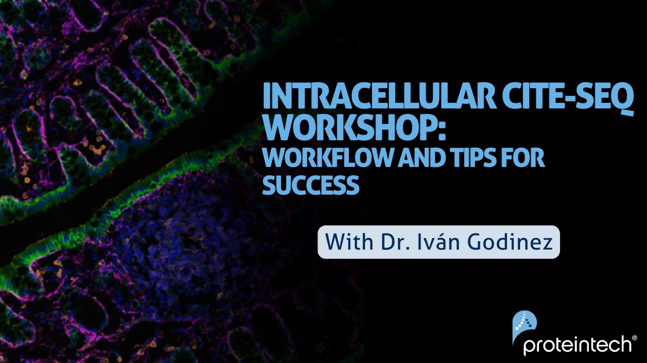 Intracellular CITE-seq Workshop: Workflow and Tips for Success