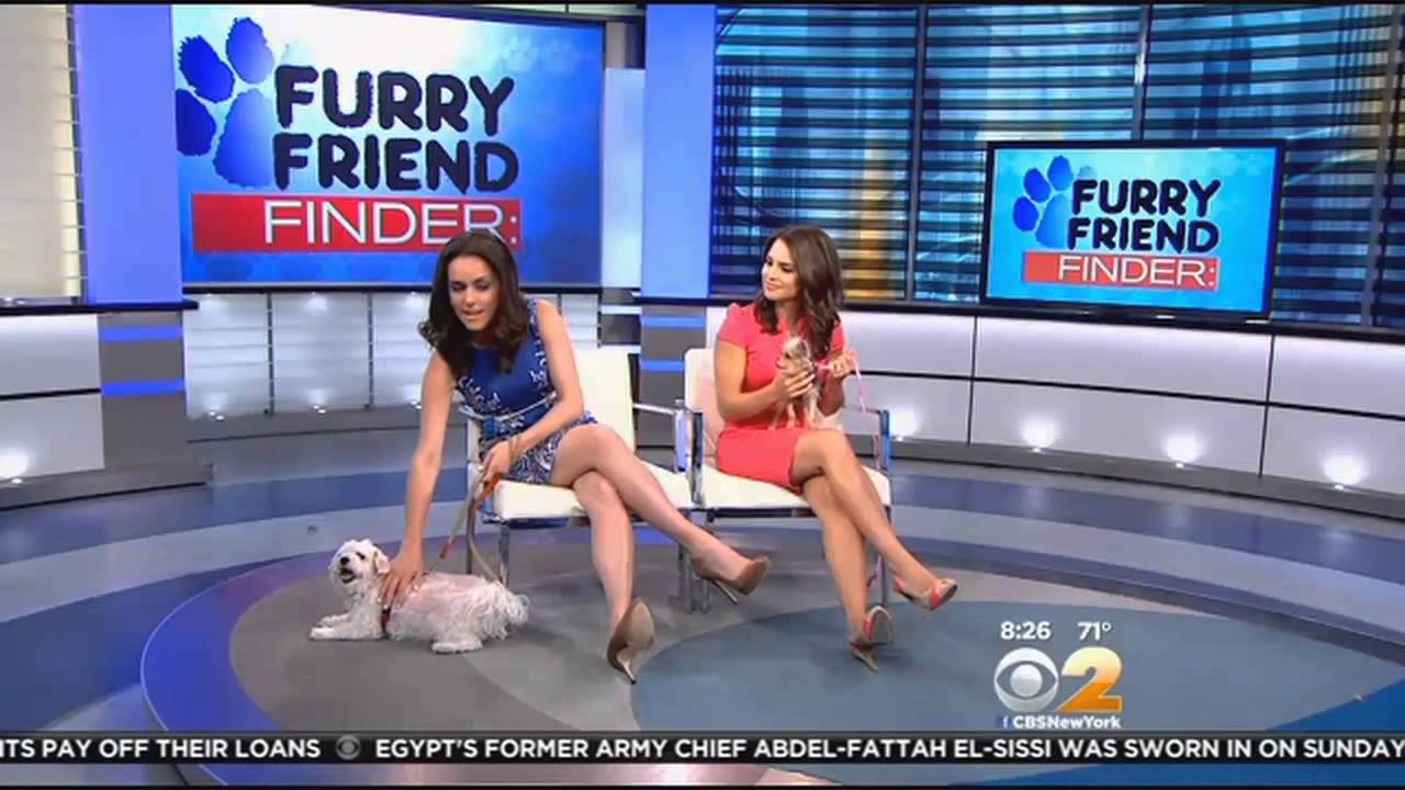 Furry Friend Finder: Fatema And Mikey