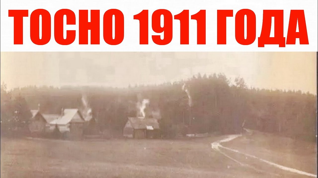 Город Тосно 1911 года
