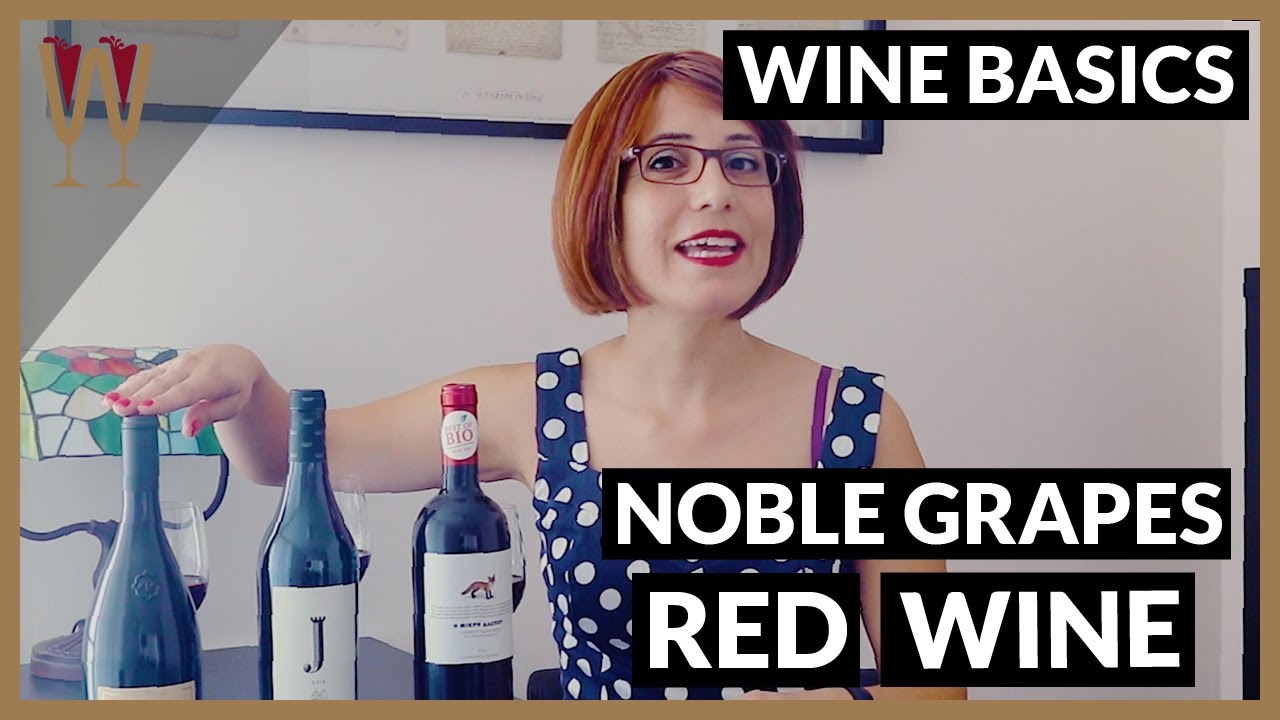 Red Wines: Pinot Noir, Merlot & Cabernet Sauvignon