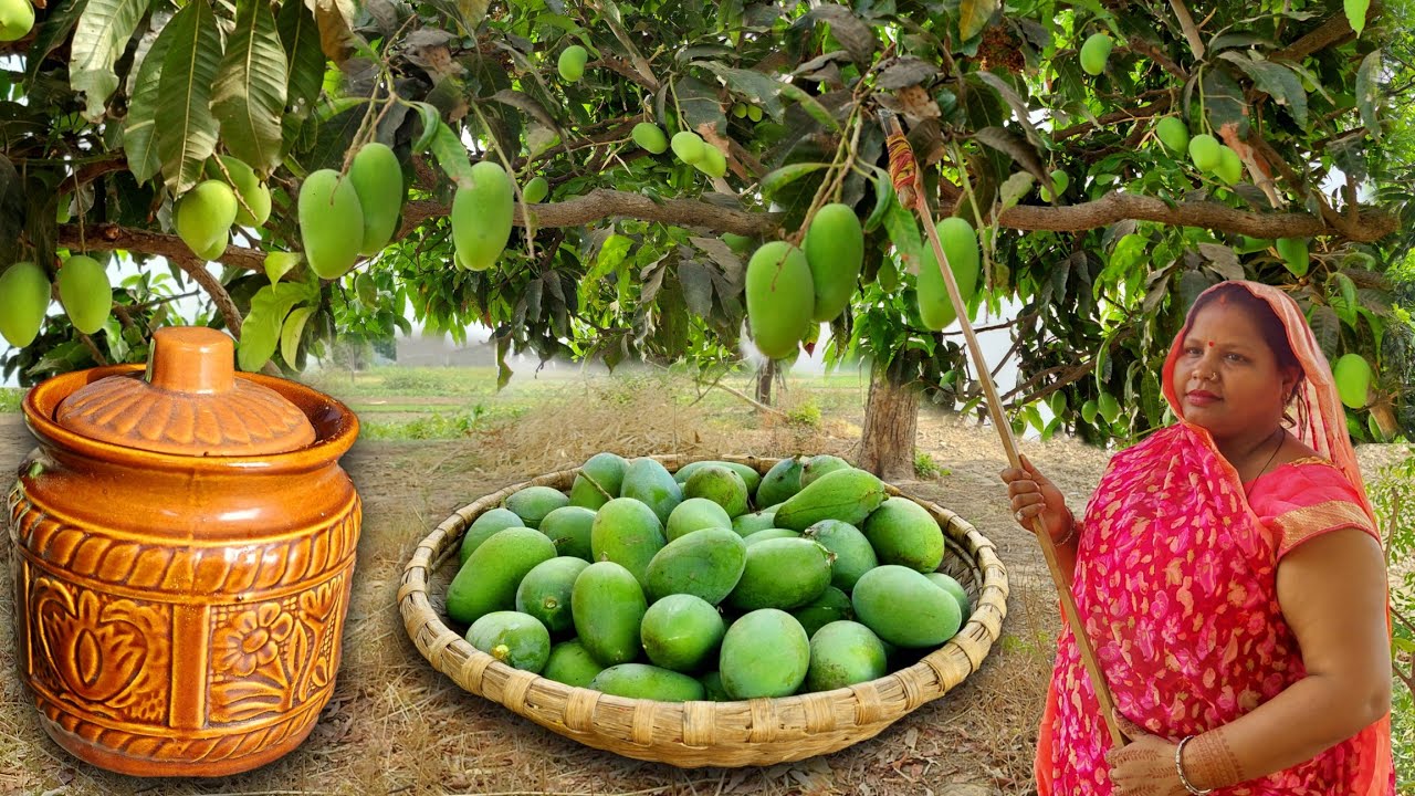 आम का सूखा अचार बनाने का एकदम नया तरीका सालों तक नहीं खराब होगा Aam ka Achar / Instant Mango Pickle