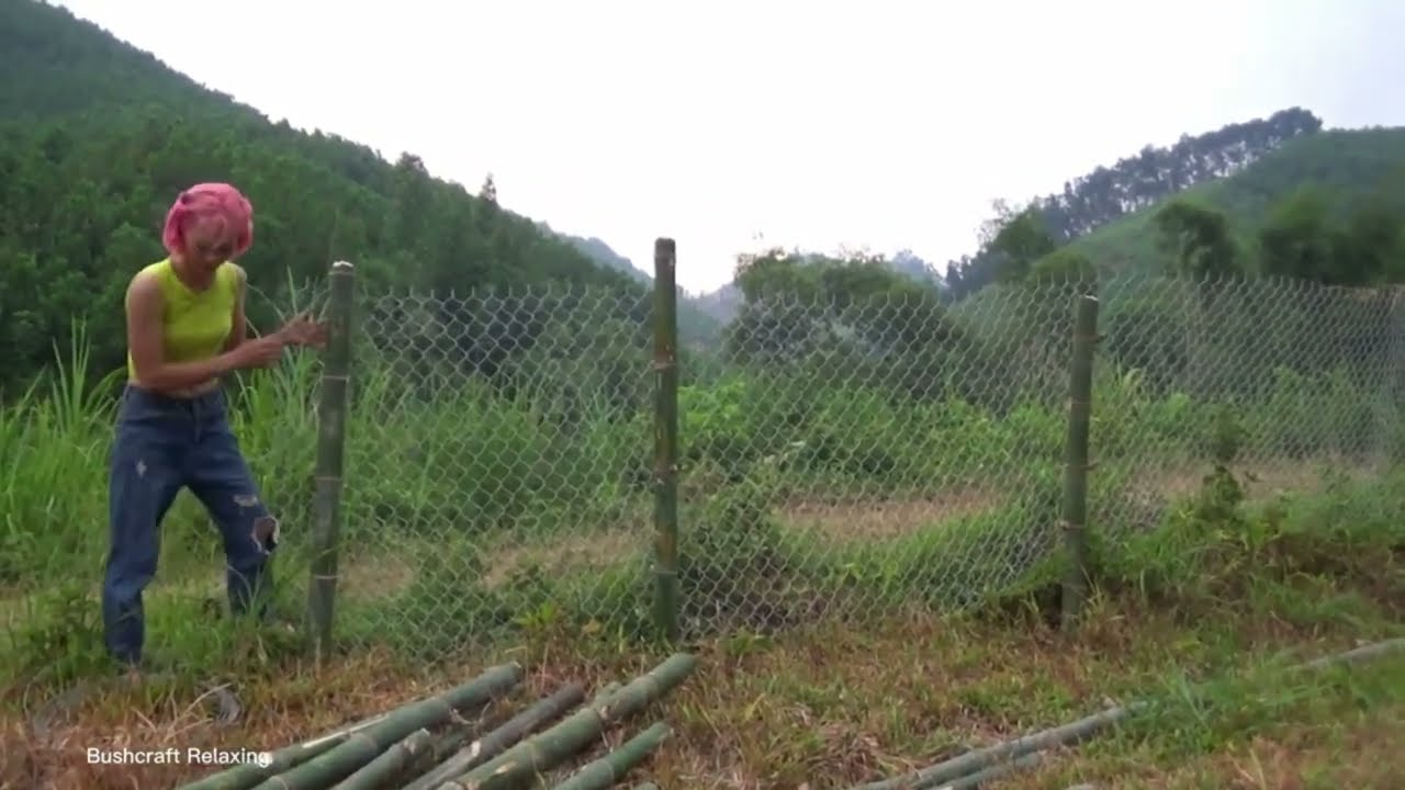 100 Days Daily Life In The Farm Forest - Building columns, walls and fences - Wilderness Alone