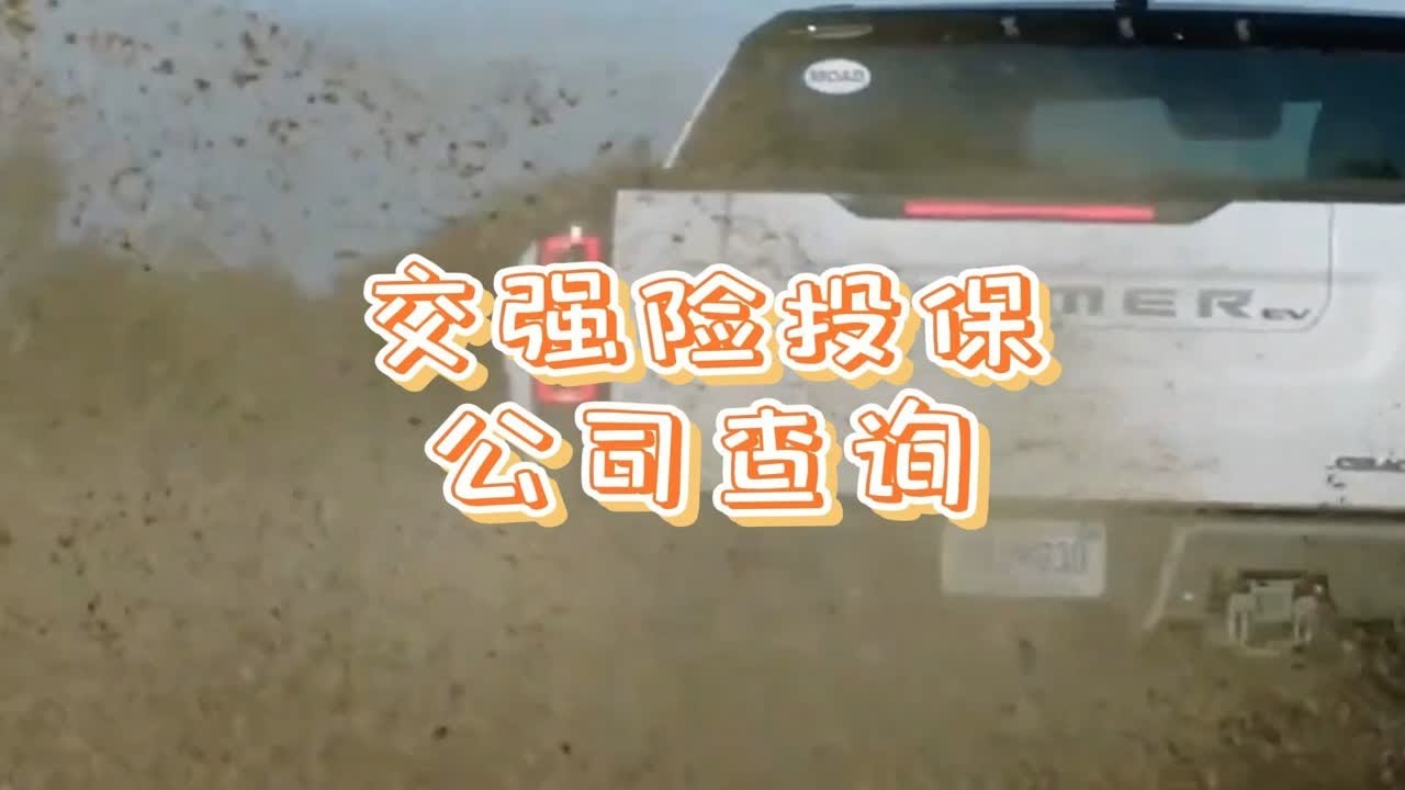 交强险投保公司查询，车险信息查询