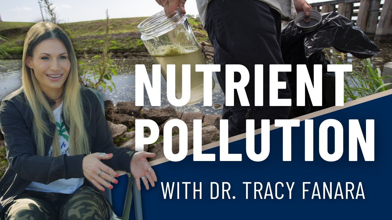 ⛺️ CAMP CHAIR CHATS, Ep. 2 | What is nutrient pollution, with Dr. Tracy Fanara