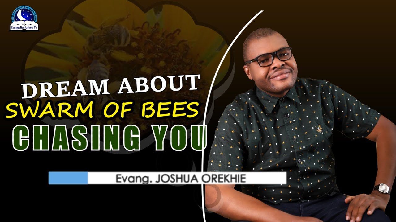 Dream About Swarm Of Bees Chasing You - Find out the Biblical Meaning