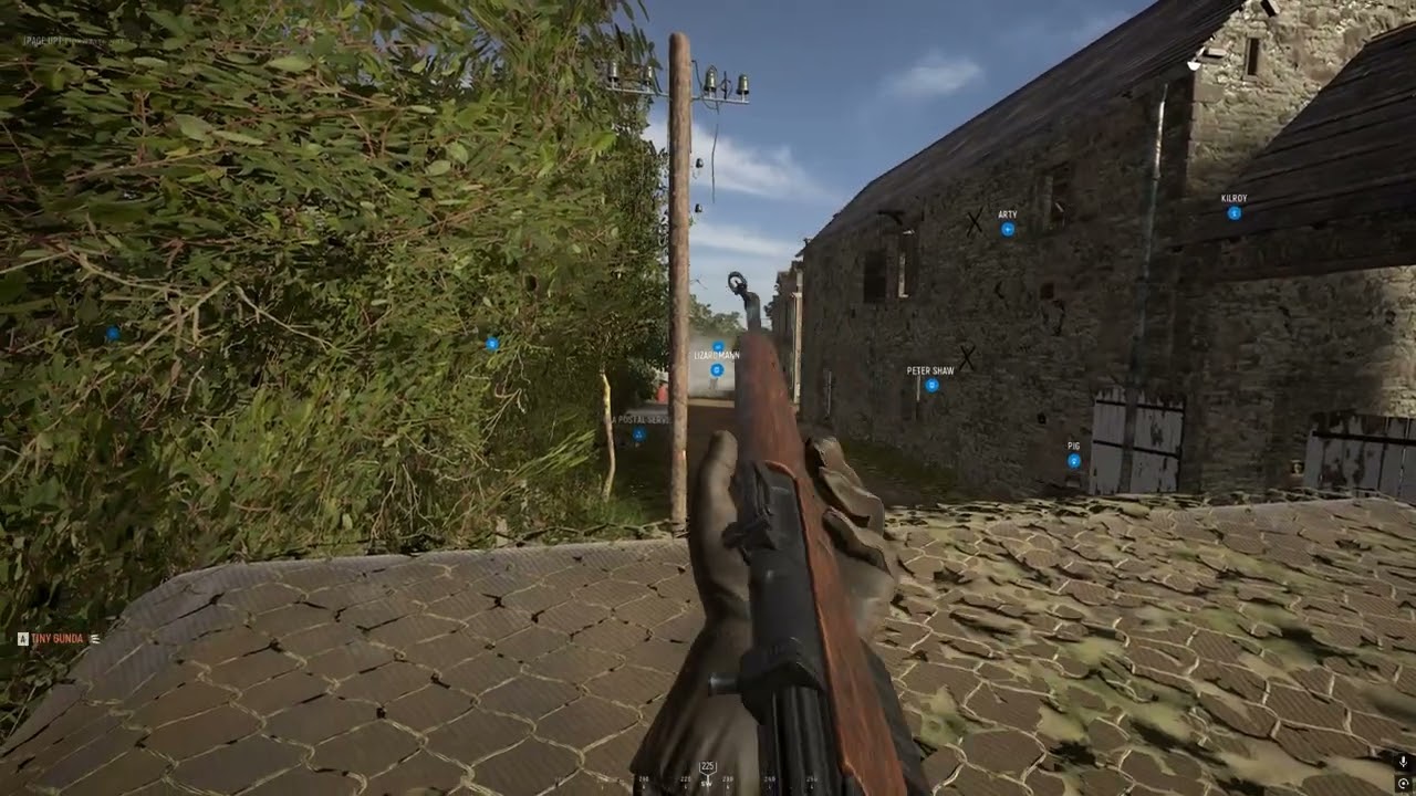 Усатая мудрость