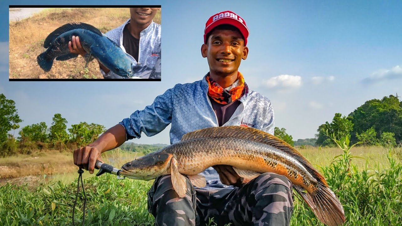 Finally caught him , 