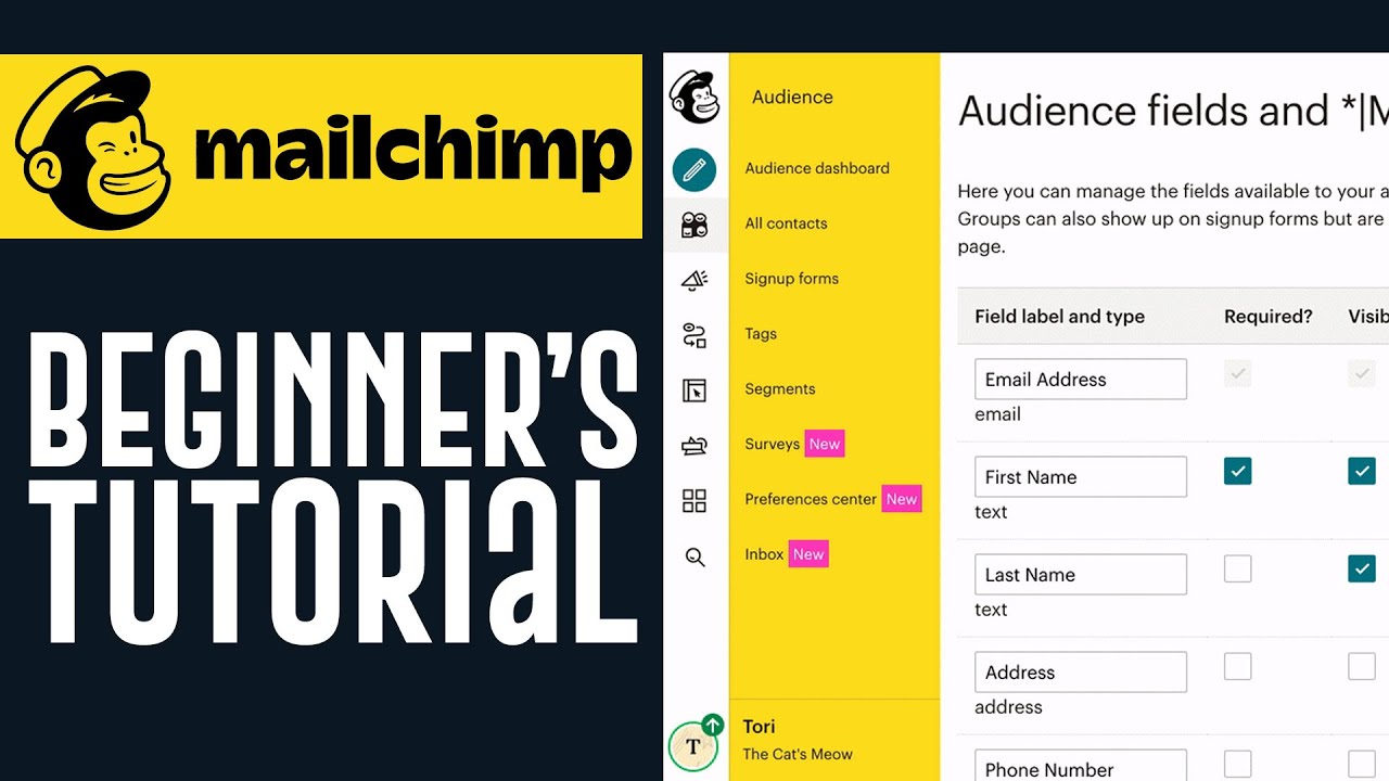 Mailchimp Tutorial For Beginners 2026 | Easy Mailchimp Tutorial (2026)