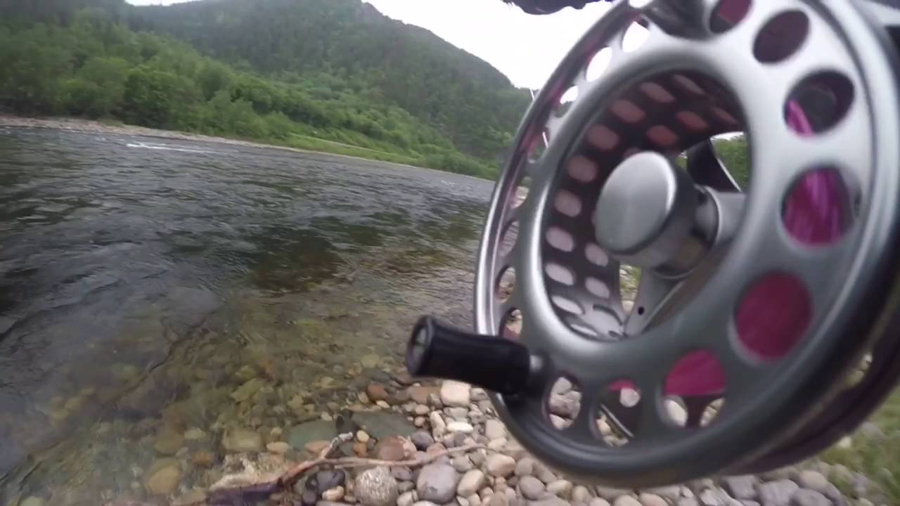 Salmon fishing on the Gaula River - This is what it's all about...
