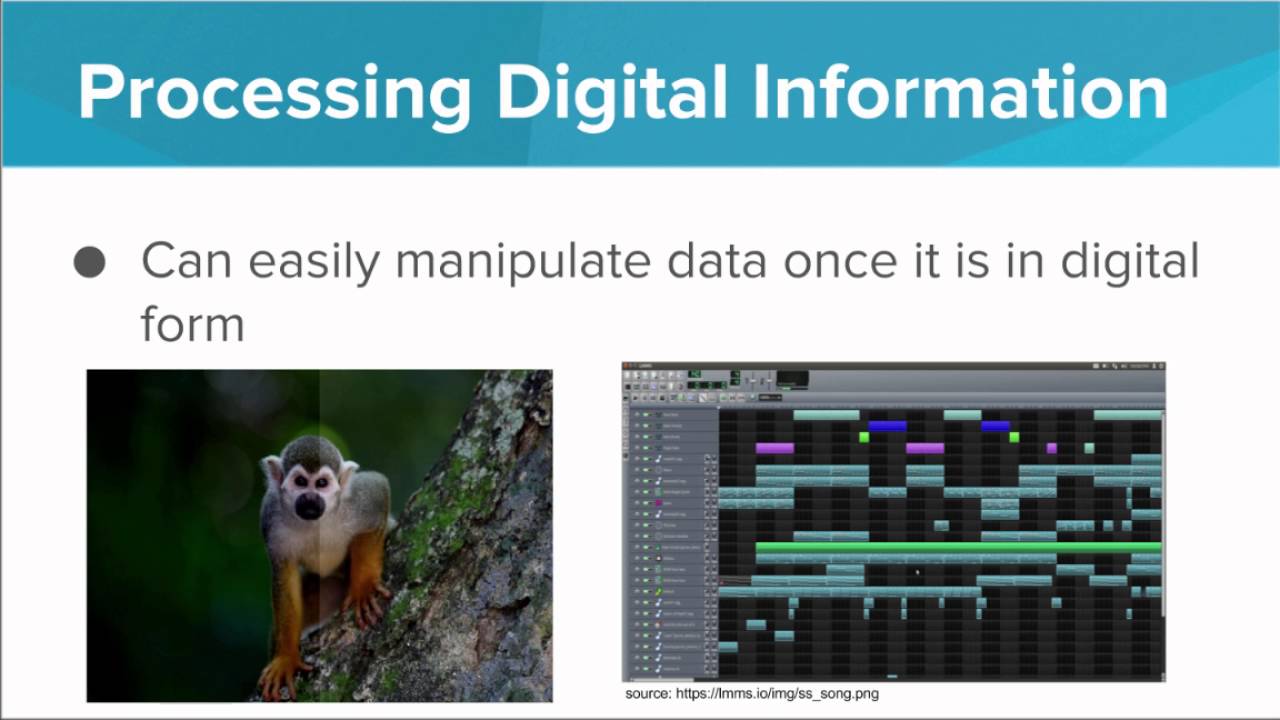 What is Digital Information