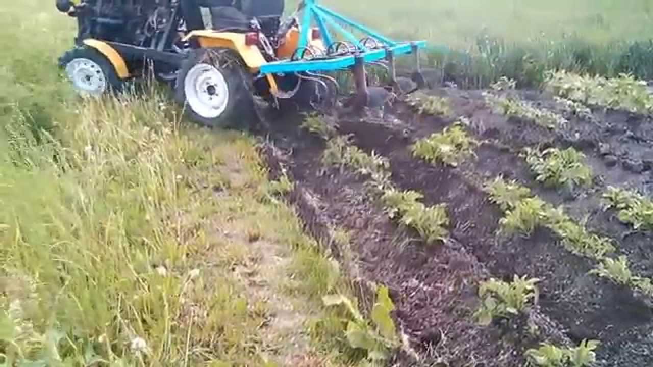 Traktorek SAM SAPARD obradlanie ziemniaków 2015