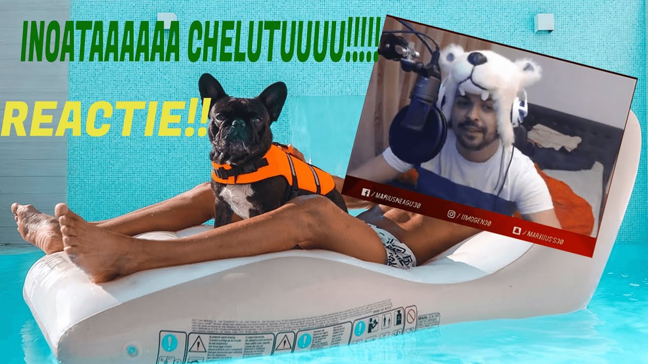 Imogen reactie INOATA CHELUTU!!!!