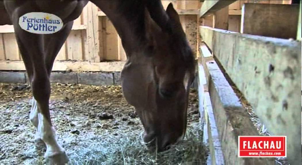 #Flachau #AlpinApart #Pöttler