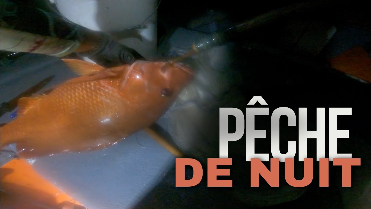 Pêche de nuit - Nuit de folie !!
