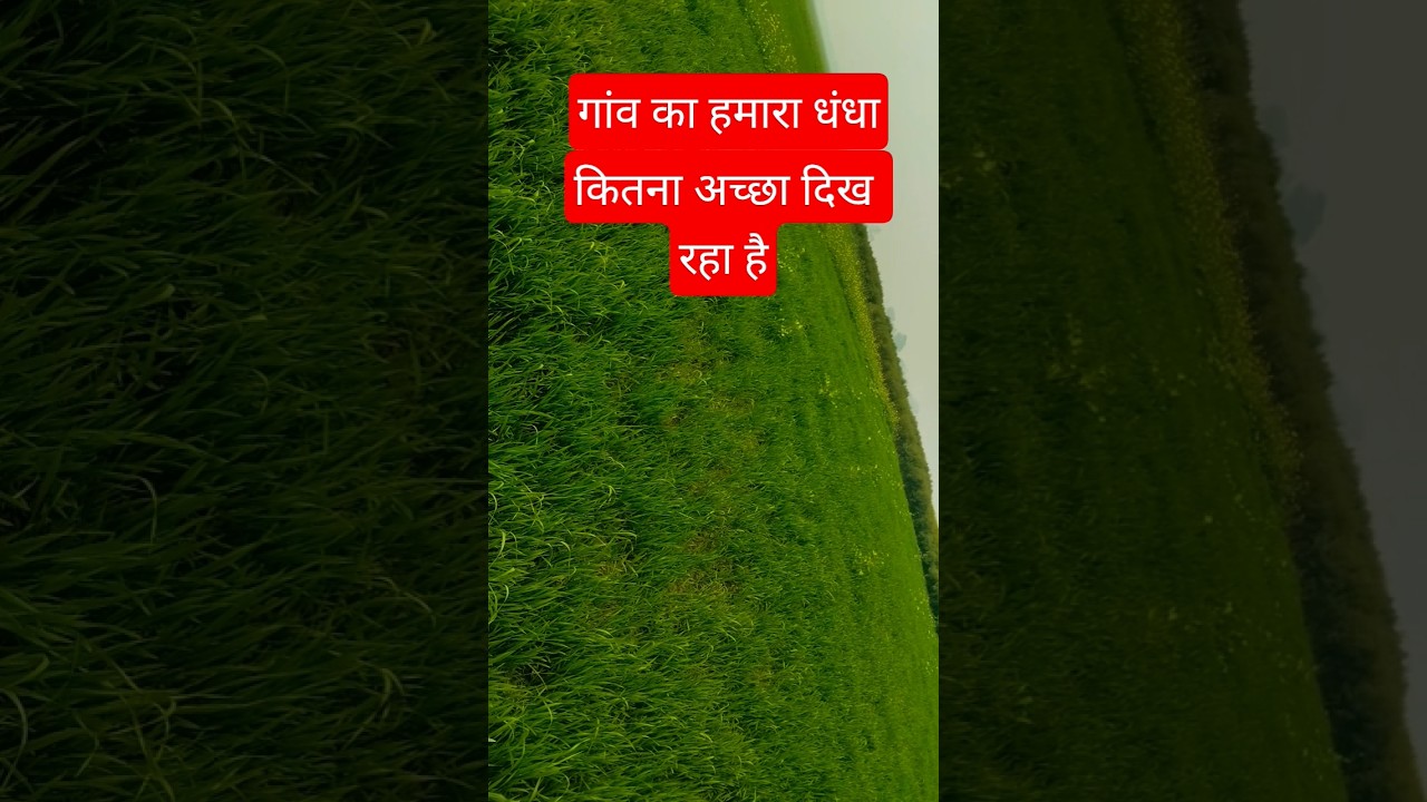 गांव कितना अच्छा दिख रहा है🥰🥰 