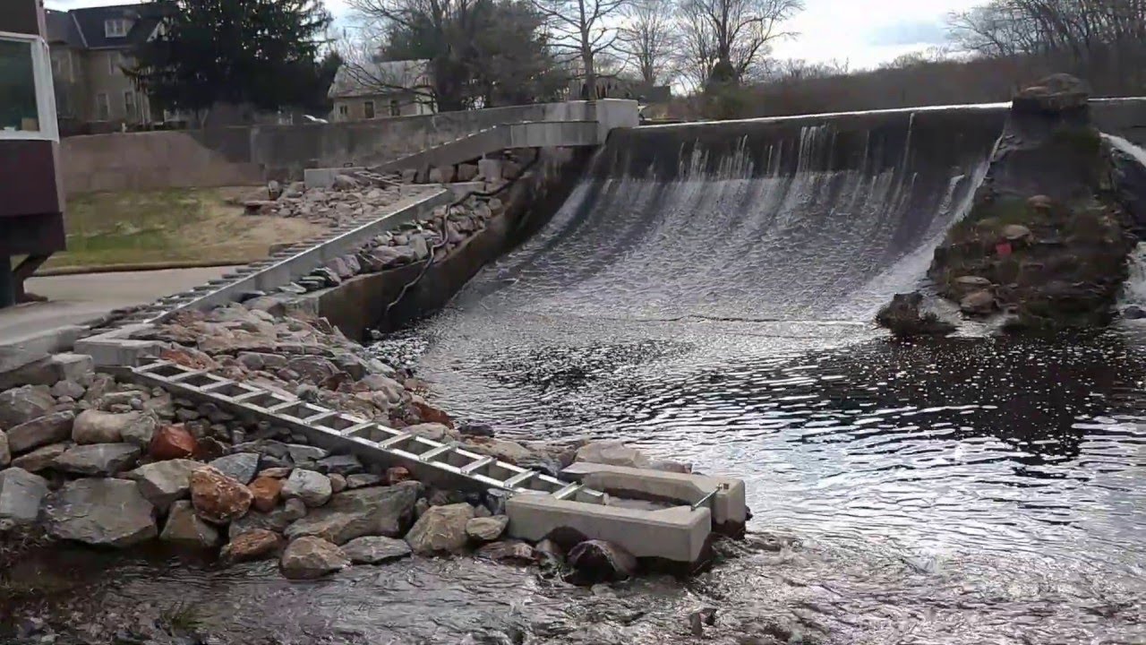 Fish Migration and The Mill Pond Fishway