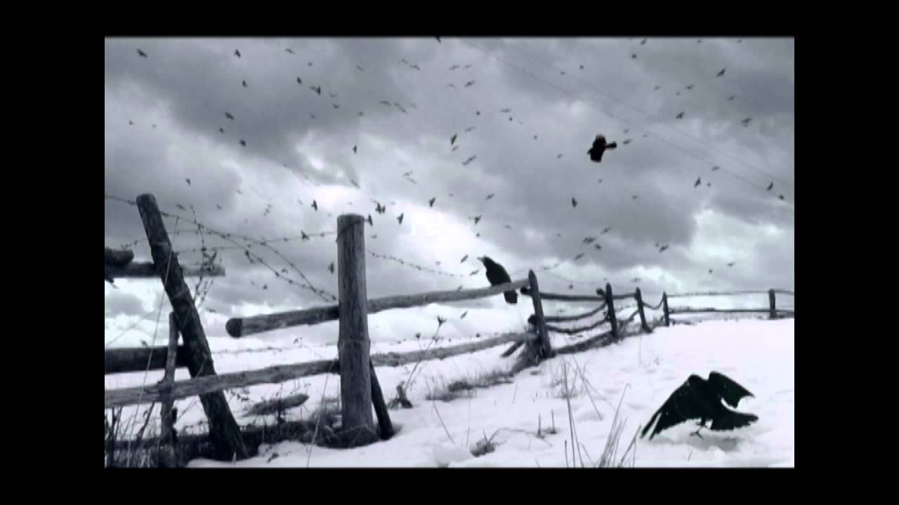 Mind in Gray // MS // 06. Cuervos en la nieve (con Fab) [Fab Prod.]