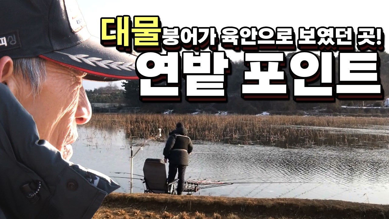 대물 붕어가 살고 있는 저수지 [외바늘시즌2 Ep.80]