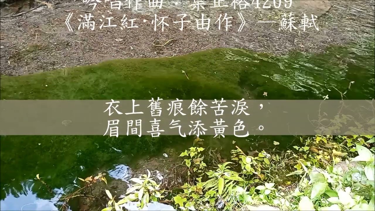 4209《滿江紅·怀子由作》—蘇軾