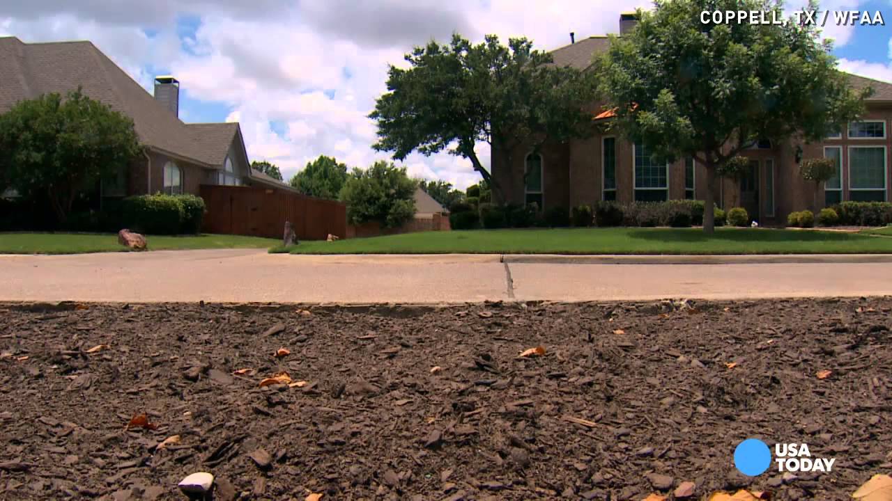 Xeriscaping nixed by homeowner's HOA