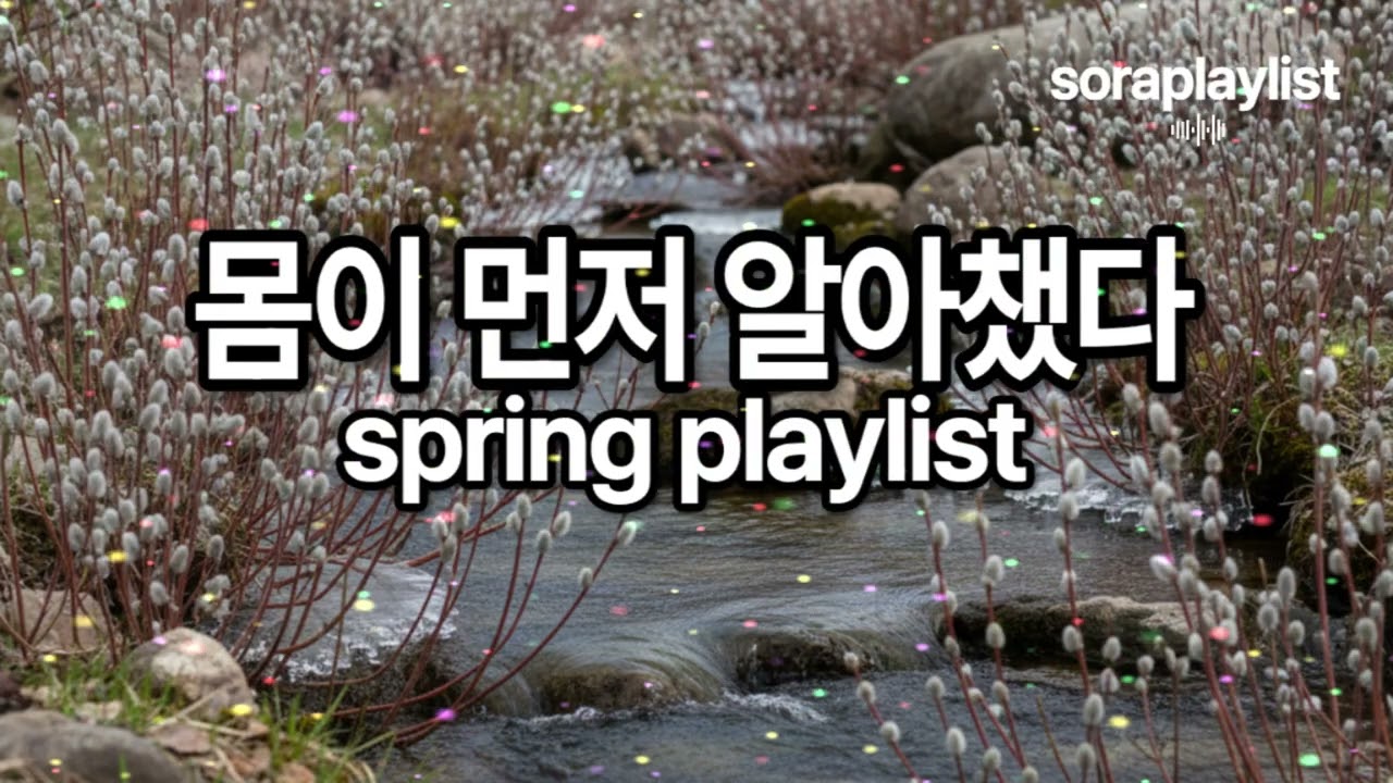 소라플레이리스트 | 몸이 먼저 알아챘다 | 봄에 듣는 감성 팝 플레이리스트