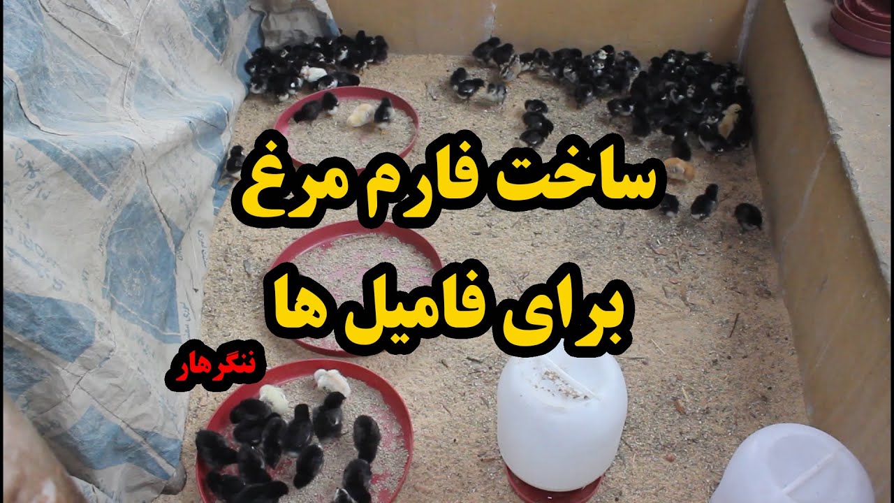 ساخت فارم مرغ برای فامیل های نیازمند..